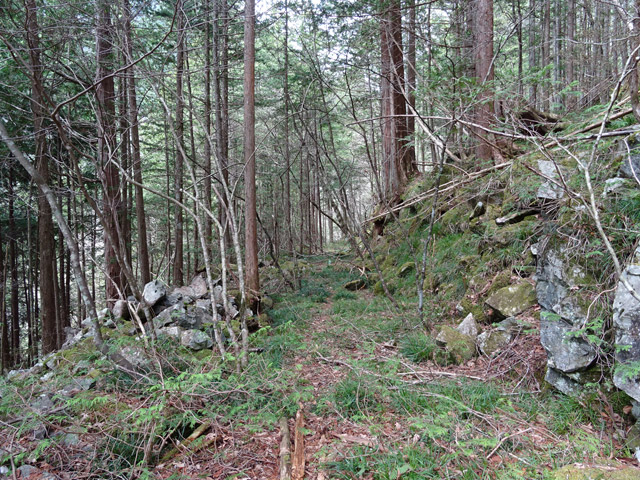 �k��X�ѓS��,�ѓS,�p����,�i���[�O����,����,����