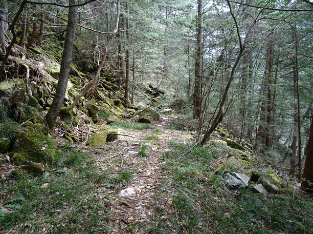 �k��X�ѓS��,�ѓS,�p����,�i���[�O����,����,�H��