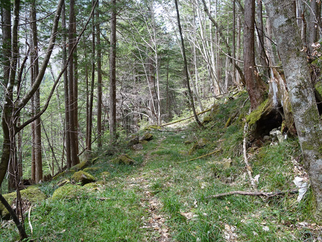 �k��X�ѓS��,�ѓS,�p����,�؍މ^���O����,����,2����