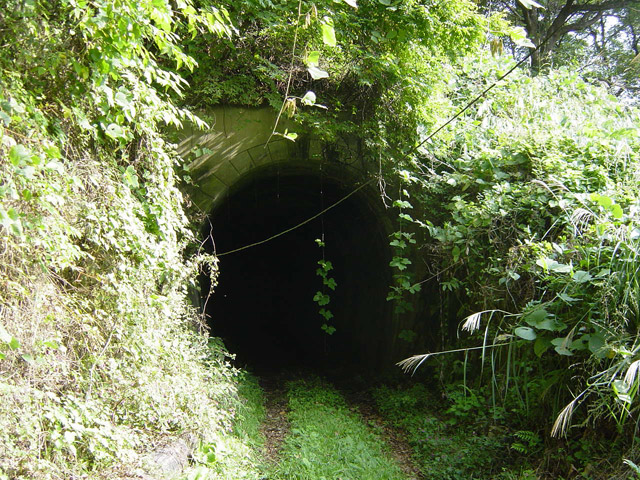 �ؑ]�X�ѓS���J�c��,�ѓS,�p����,詓�,��1���g���l��,�i���[�O����