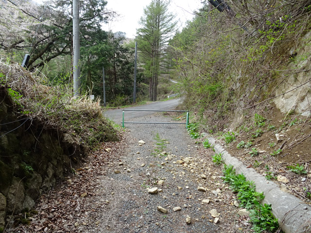 �ؑ]�X�ѓS���J�c��,�ѓS,�p����,詓�,�g���l��,�����X�ыO��