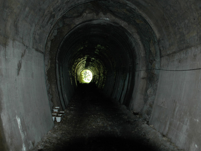 �X�ѓS��,�J�c�ѓS,�p����,�؍މ^���O����,�V��,��ꍆ�g���l��