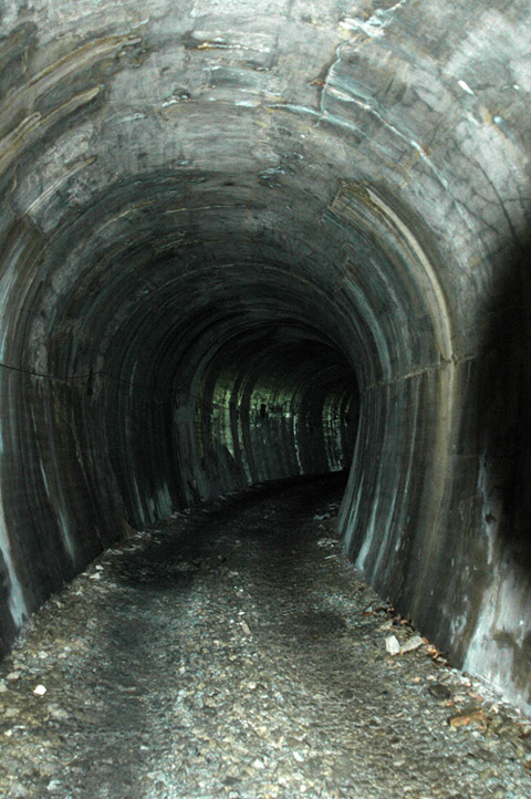 �X�ѓS��,�J�c�ѓS,�p����,�i���[�O����,�V��,��ꍆ�g���l��