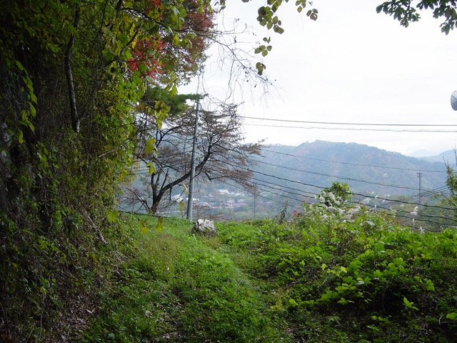 �J�c�X�ѓS��,�ѓS,�p����,�����X�ыO��,����,�i���[�Q�[�W