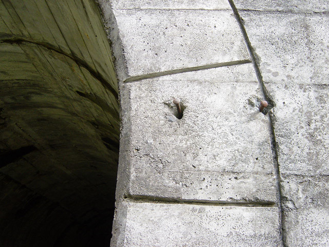 �ؑ]�X�ѓS���J�c��,�ѓS,�p����,詓�,��񍆃g���l��,�����O��