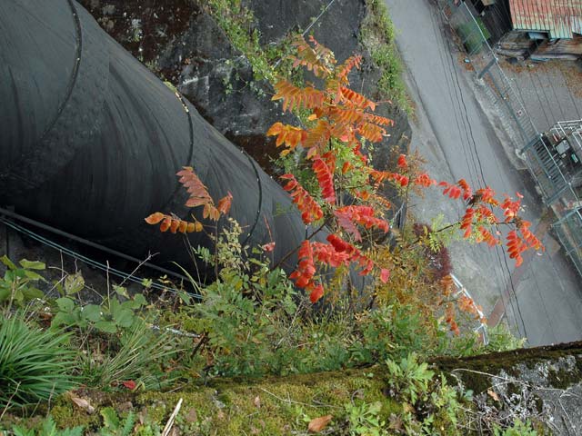 �J�c�ѓS,�X�ѓS��,�p����,�؍މ^���O����,����,��x���d��,�����S��