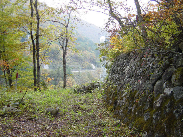 �J�c�X�ѓS��,�ѓS,�p����,�i���[�O����,����,�ѓ�