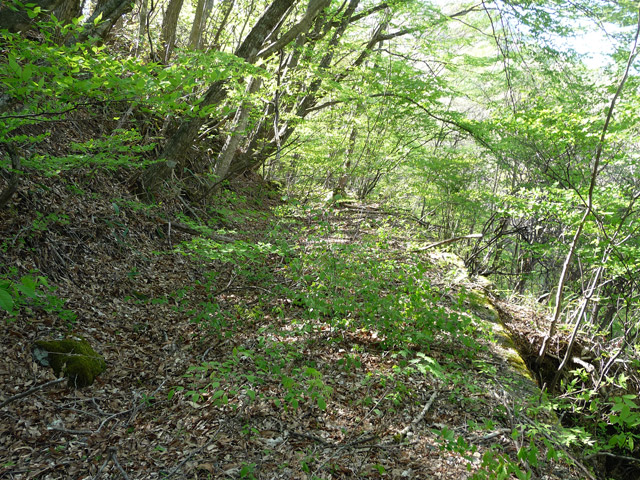 �J�c�X�ѓS���u��7���V���[�����������v