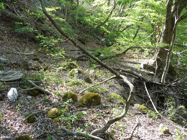 �J�c�X�ѓS���u��7���V���[�����������v