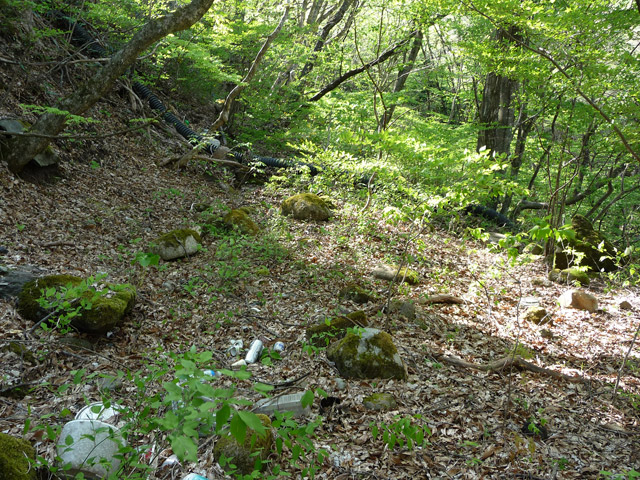 �J�c�X�ѓS���u��7���V���[�����������v