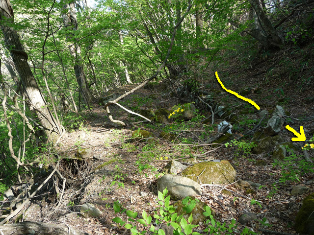 �J�c�X�ѓS���u��7���V���[�����������v