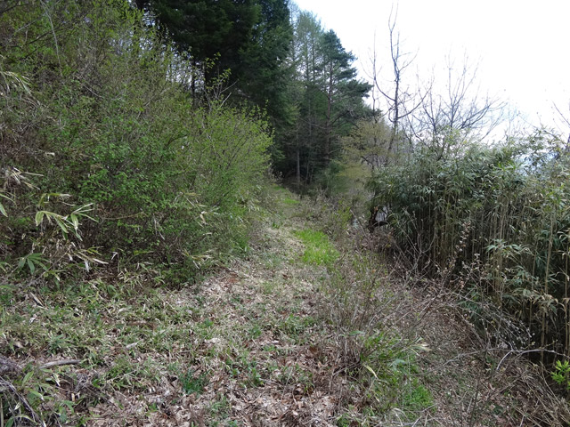 �J�c�X�ѓS��,�����X�ыO��,�p����,�ؑ]�X,�ѓS