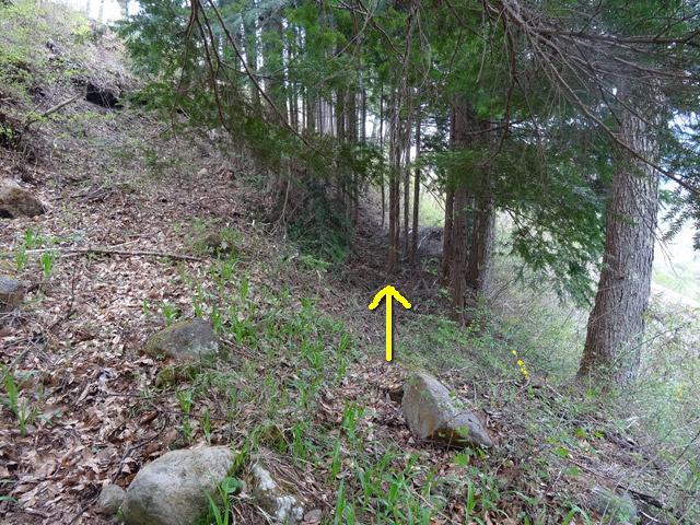 �J�c�X�ѓS��,�㏼�^�A�c�я�,�p����,�ؑ]�X,�ѓS