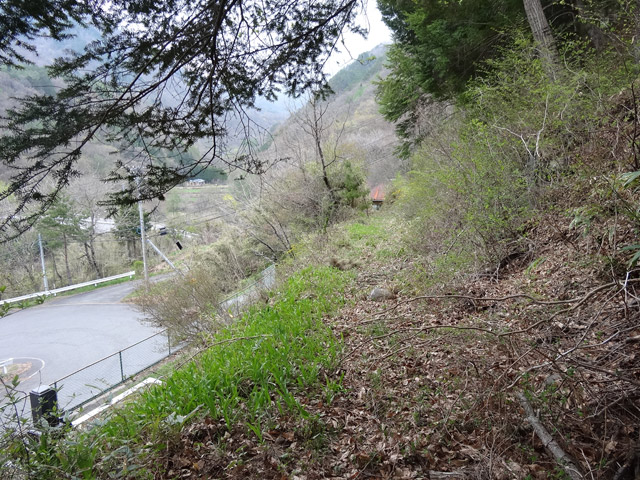 �J�c�X�ѓS��,�㏼�^�A�c�я�,�p����,�ؑ]�X,�ѓS