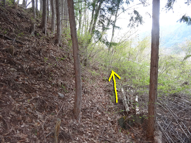 �J�c�X�ѓS��,�㏼�^�A�c�я�,�p����,�ؑ]�X,�ѓS