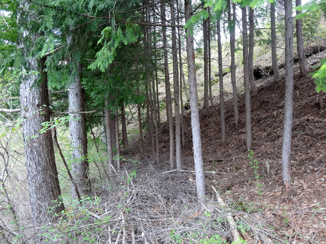 �J�c�X�ѓS��,�㏼�^�A�c�я�,�p����,�ؑ]�X,�ѓS