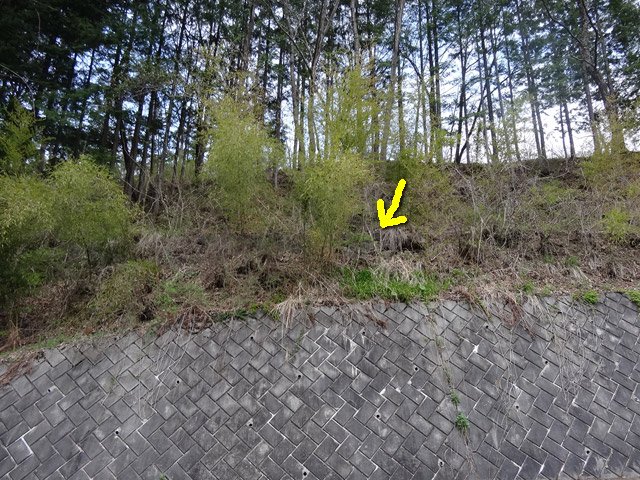 �J�c�X�ѓS��,�㏼�^�A�c�я�,�p����,�ؑ]�X,�ѓS