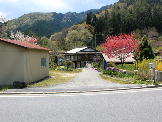 �`���X�ѓS���u�`�����1�������[��q�싴���v