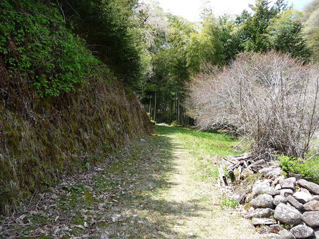 �`���X�ѓS���u�`�����1�������[��q�싴���v