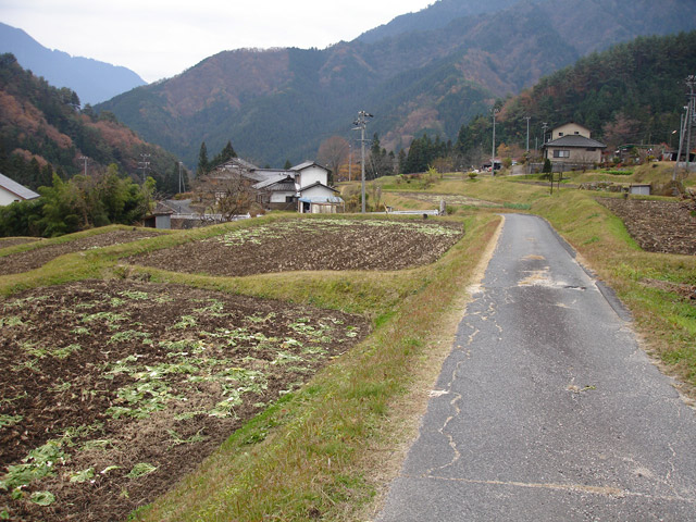 �`���X�ѓS��,�ѓS,�p����,�O��,�`���k�J