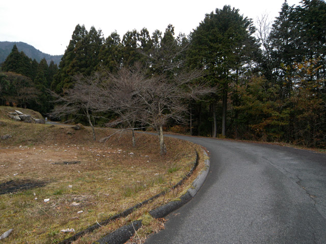 �`���X�ѓS��,�ѓS,�p����,�O��,�`���k�J