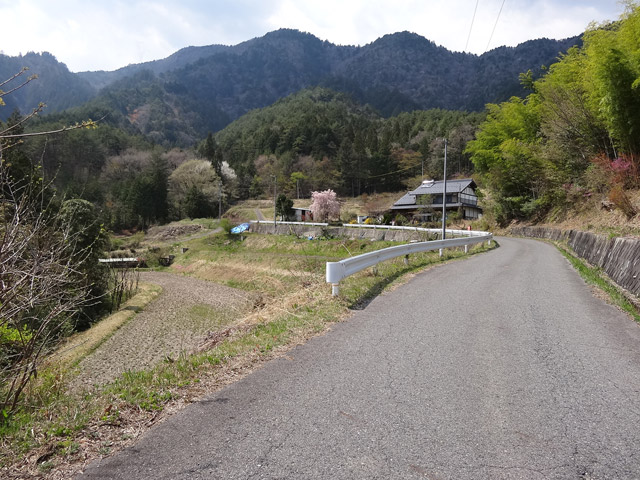 �`���X�ѓS��,�ѓS,�p����,�O����,�O�a�c�я�