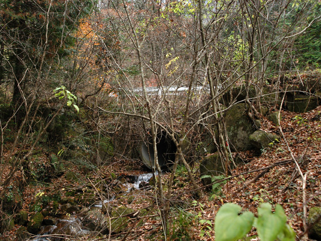 �`���X�ѓS��,�ѓS,�p����,�O����,�z���~��