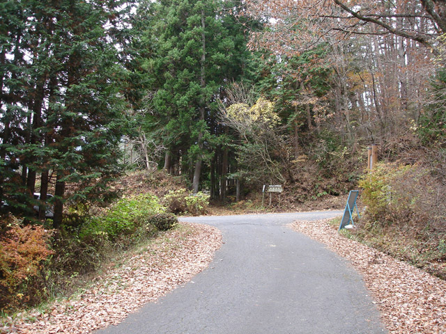 �`���X�ѓS��,�ѓS,�p����,�O����,�O�a�c�я�