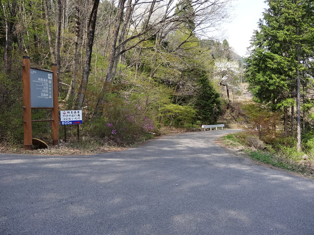 �`���X�ѓS��,�ѓS,�p����,�O����,�O�a�c�я�