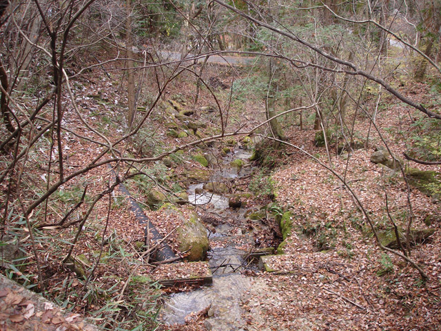 �`���X�ѓS��,�ѓS,�p����,����,�z���~��