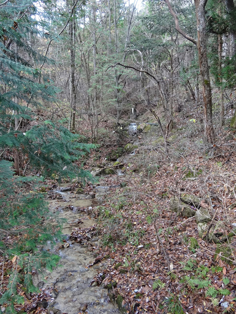 �`���X�ѓS��,�ѓS,�p����,�O����,����