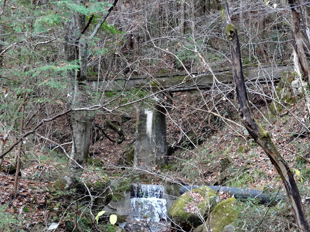 �`���X�ѓS��,�ѓS,�p����,�O����,����