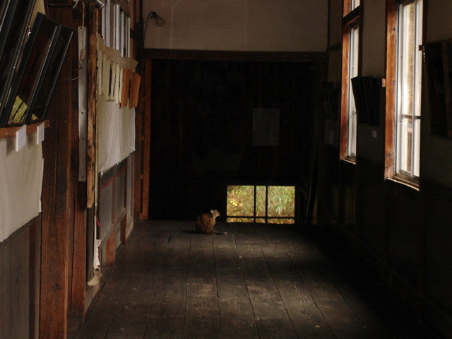 ���R�X�ѓS��,�ؑ򏬊w�Z,�p�Z,�ؑ��Z��,�����˂����,�����ˍZ��,�l�R