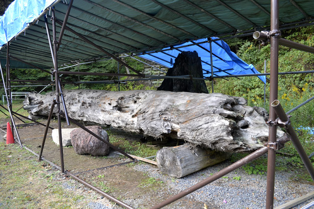 ���R�X�ѓS��,�ѓS,�p����,�����Ă������,�������,���R��