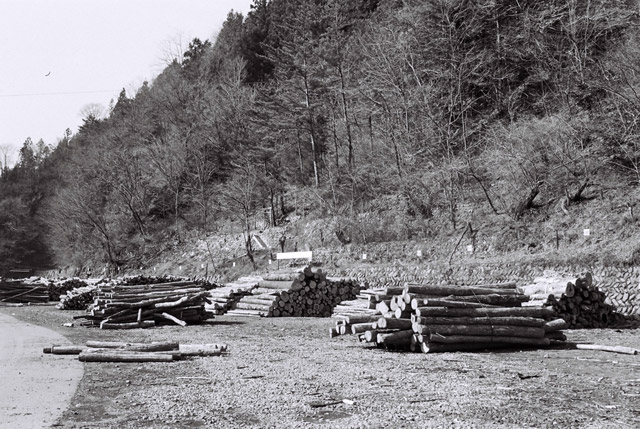 ���R�X�ѓS��,�ѓS,�p����,�������؏�,�ѓc�c�я�