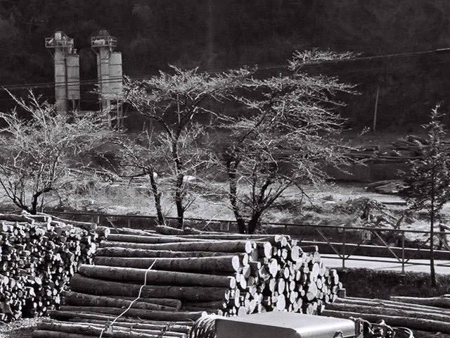 ���R�X�ѓS��,�ѓS,�p����,���R���1������,�}��,�؋�