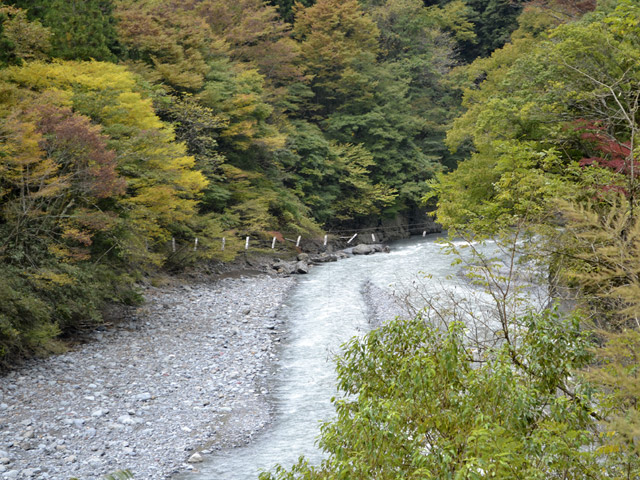 ���R�X�ѓS��,�ѓS,�p����,��m��,�݂苴��