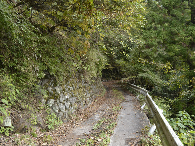 ���R�X�ѓS��,�ѓS,�p����,���R��,�E�H�[�L���O