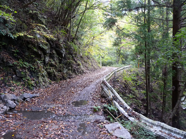 ���R�X�ѓS��,�ѓS,�p����,���R��,�E�H�[�L���O