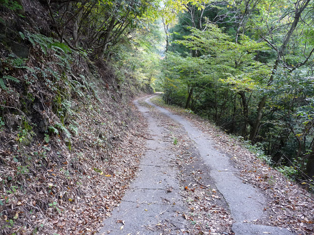 ���R�X�ѓS��,�ѓS,�p����,���R��,�E�H�[�L���O