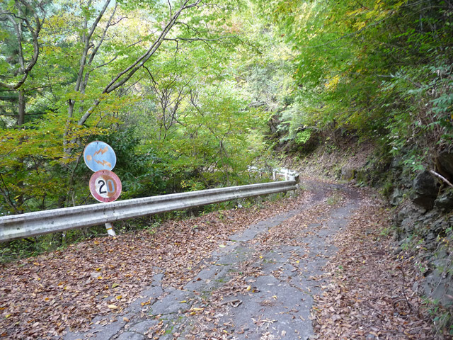 ���R�X�ѓS��,�ѓS,�p����,���R��,�E�H�[�L���O