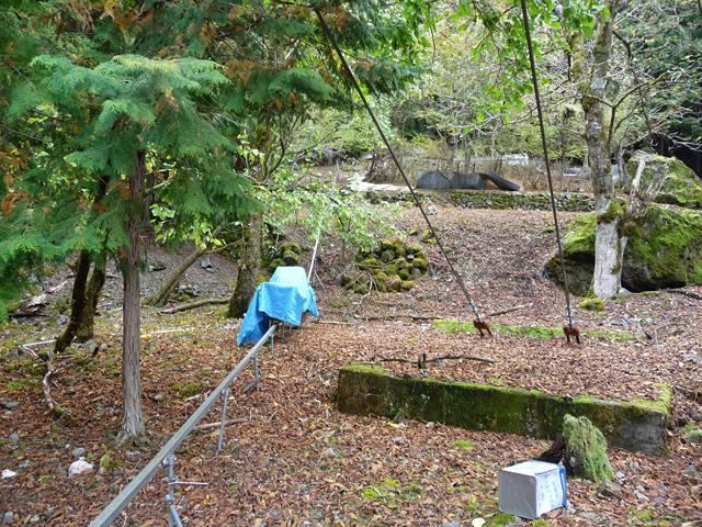 ���R�X�ѓS��,�ѓS,�p����,���R��,���m���[��