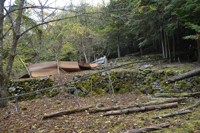 ���R�X�ѓS��,�ѓS,�p����,���R��,���m���[��