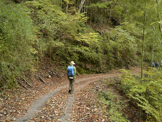 ���R�X�ѓS��,�ѓS,�p����,���R��,�O����