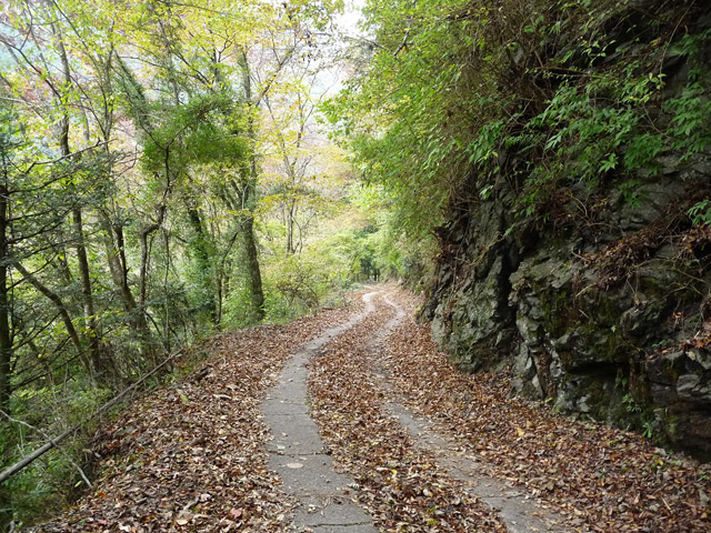 ���R�X�ѓS��,�ѓS,�p����,���R��,�O����