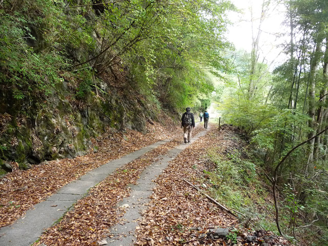 ���R�X�ѓS��,�ѓS,�p����,���R��,�O����