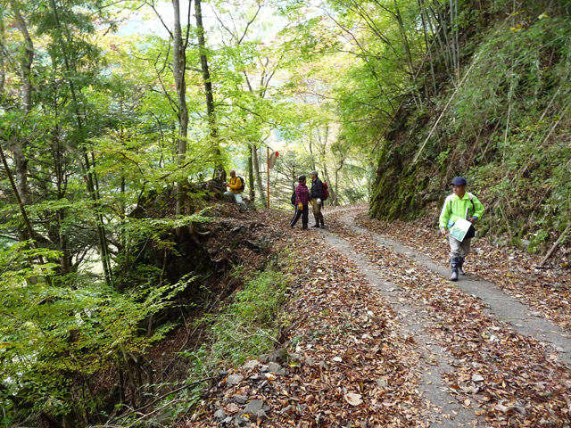 ���R�X�ѓS��,�ѓS,�p����,���R��,�O����