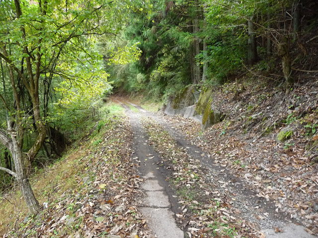 ���R�X�ѓS��,�ѓS,�p����,���R��,�ѓc�c�я�