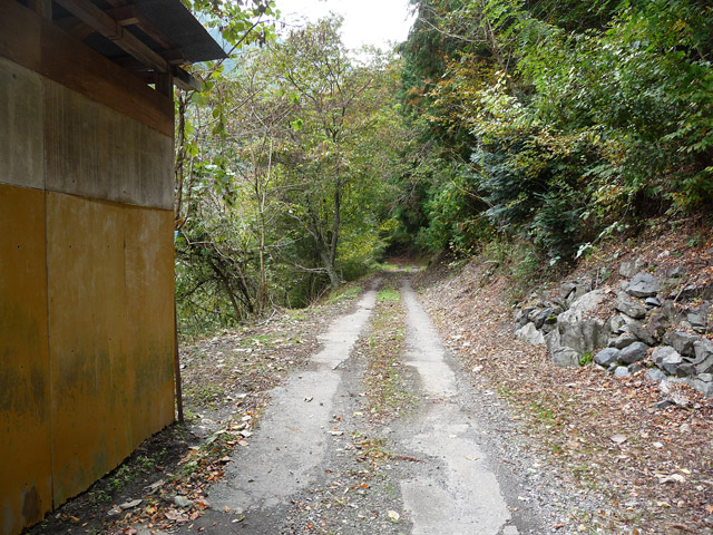 ���R�X�ѓS��,�ѓS,�p����,���R��,�ܐF����,��1������