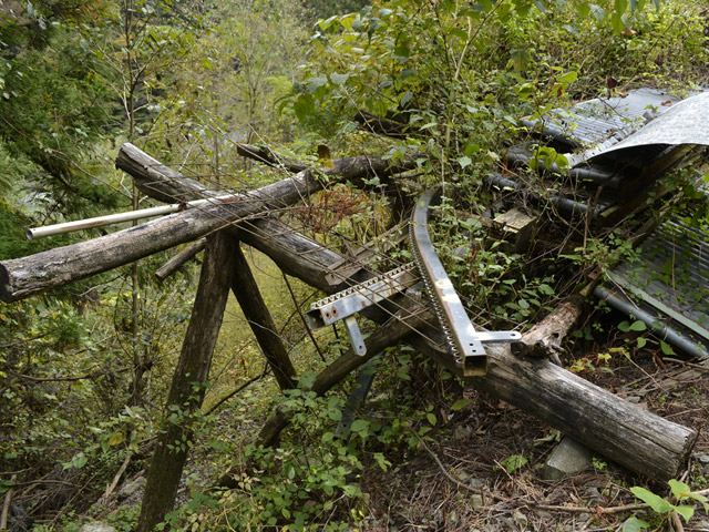 ���R�X�ѓS��,�ѓS,�p����,���R��,�E�H�[�L���O